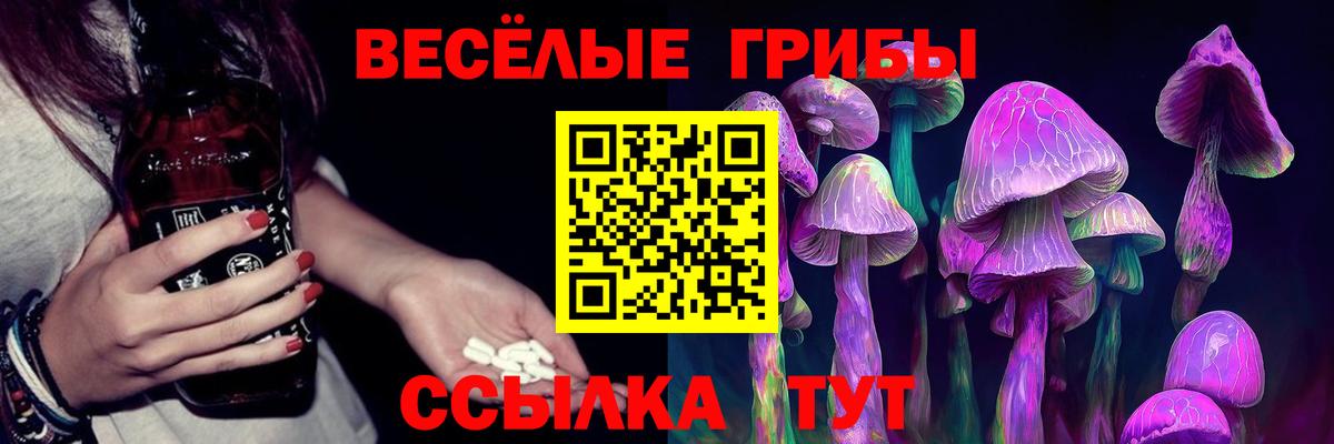 Троицк  Галлюциногенные грибы GOLDEN TEACHER  Вход с VPN 